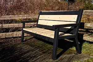 Spit Prints: A welcoming park bench with wooden railings and dried fall bushes in the background