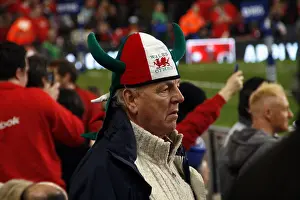 Rugby Prints: Welsh rugby fan in the Millenium Stadium