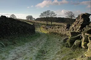Dry Stone Wall Prints: West Pennine moors above Brinscall in Chorley, Lancashire