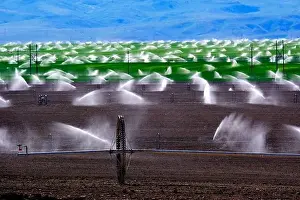 Furrow Prints: Wheel line sprinklers for irrigation of furrowed plowed farm field dirt lines to grow green crops