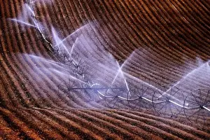Furrow Prints: Wheel line sprinklers for irrigation of furrowed plowed farm field dirt lines to grow green crops
