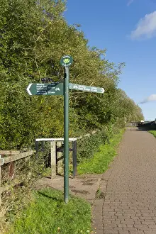 Off Road Prints: Part of the Whelley Loop Line cycleway
