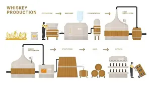 Process Prints: Whiskey production infographic process vector illustration