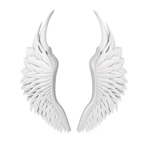 Fairy Prints: White Angel Wings Isolated