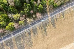 Treetop Prints: white car driving on the country road