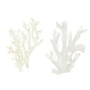 Polyp Prints: White coral, an element of the underwater world and coral reefs
