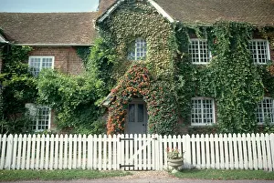 Homely Prints: White picket fence in front of traditional old house with ivy covered walls