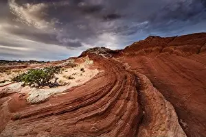 White Pocket rock formations, Vermilion Cliffs National Monument, Arizona, USA