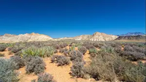 Hiking Trails Prints: The White Rocks in the north of Snow Canyon State Park near St