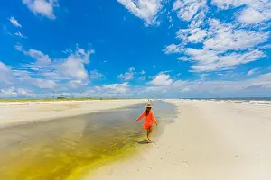 1 Person Only Prints: White sand beaches on Ship Island, Gulf Coast, Mississippi, United States of America