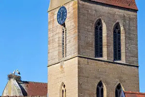 Nesting Prints: White Storks nesting on a church roof in Eguisheim village, Alsace, France