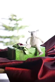 Present Prints: White toy sheep siting on a green gift box