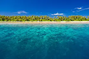 White tropical beach in Maldives with beautiful palm trees and blue lagoon. Background concept