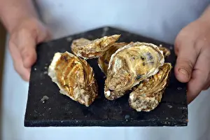 Fish Market Prints: Whitstable oysters