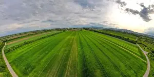 Allergies Prints: Wide angle Aerial shot from a drone of young green wheat in Spring