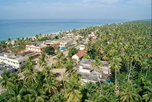 Fishing Village Prints: Wide angle Aerial view of Beautiful Kerala coastal Township and Coconut palms Landscape