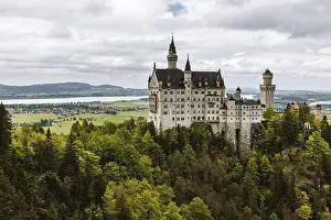 Day Sky Prints: A wide-angle landscape shot of the historic Neuschwanstein Castle standing over a dense green forest