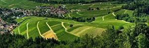 Wide hires panoramic landscape view of Black Forest vineyard valley, aerial, Germany