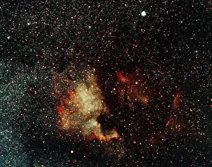 Telescope Prints: Widefield astrophotography image of the North America Nebula (NGC 7000) captured in 2026