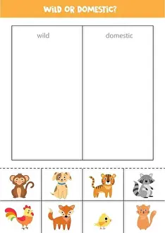 Raccoon Prints: Wild or domestic animals. Sorting game for preschool kids. Educational logical worksheet