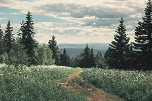 Wild national Park in the middle of Russia