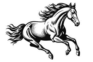 Gallop Prints: Wild running horse sketch, black line art style vector illustration isolated on white background