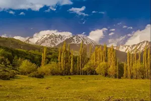 Mountainscape Prints: Wilderness and greenery with mountains covered with snow in Villa Cerro Castillo in Chile