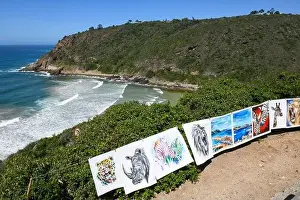 Paraglider Prints: Wilderness, South Africa - 26 January 2023: view the beach of Wilderness on South Africa