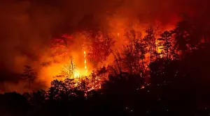Hell Prints: Wildfire on Three Sisters Mountain, Walland, Tennessee, in November of 2016