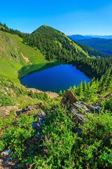 Mountain Lake Prints: wildflowers above upper oregon lake viewed from the stateline trail in the bitterroot range near superior
