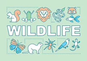 Infographics Prints: Wildlife word concepts banner. Travel experience