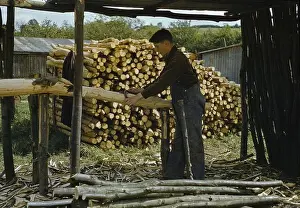Manual Labour Prints: On William Alexander's farm in Eynsford