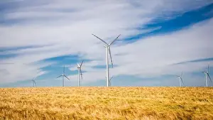 Windfarm Prints: Wind farm on golden field in summer, aerial view, Poland