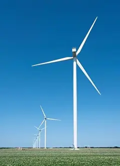 wind turbines under blue sky in blossoming potatoe field near hoorn in wieringermeer