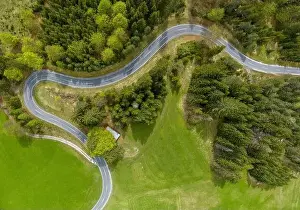 Green Spring Prints: winding alpine road in the forest with green meadows and forests from a bird's eye view in the lechtal