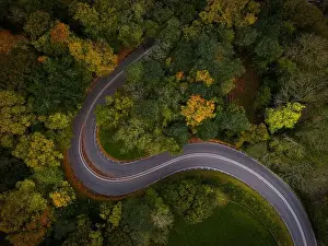 A winding road snakes through a tapestry of vibrant autumn trees