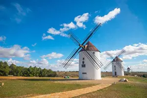 Windmills Prints: Windmills. Mota del Cuervo, Cuenca province, Castilla La Mancha, Spain