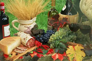 Things Prints: Wine grapes and foods of Chianti region of Tuscany in Italy