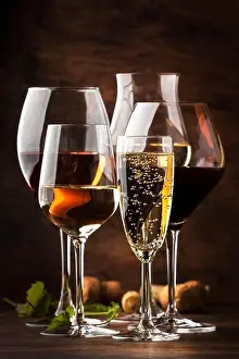 Goblet Prints: Wine tasting concept, still and sparkling wines