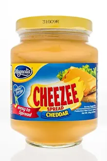 Illustrative Editorial Prints: Winneconne, WI - 7 October 2018: A jar of Magnolia cheezee spread on an isolated background