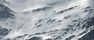 Carinthia Prints: winter bliss - winter ade
