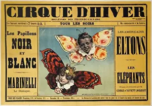 Arrondissement Prints: WINTER CIRCUS, BLACK AND WHITE BUTTERFLIES - WINTER CIRCUS