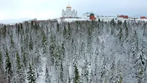 High Hill Prints: Winter forest landscape. Clip.View from a height of the green spruce standing in the white snow