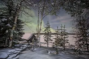 Northern Lights Prints: Winter forest under the lights of Aurora borealis. Northern Karelia. Russia