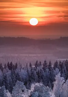 Winter landscape with frosty trees and beautiful sunset at evening time in Finland