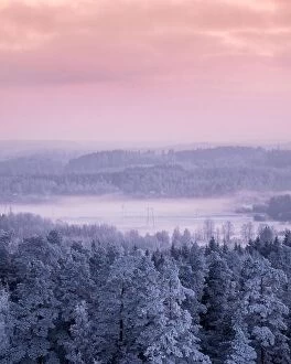 Images Dated 12th January 2018: Winter landscape with frosty trees and foggy mood at evening light in Finland