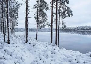 Images Dated 27th October 2017: Winter landscape with frosty trees and peaceful lake at evening in Finland