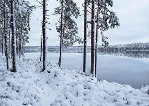 Winter landscape with frosty trees and peaceful lake at evening in Finland
