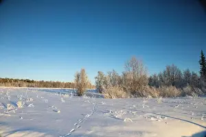 Rovaniemi Prints: Winter landscape in Kiruna, Lapland, northern Sweden. Photographed in January
