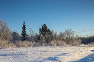 Rovaniemi Prints: Winter landscape in Kiruna, Lapland, northern Sweden. Photographed in January